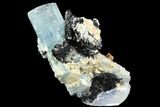 Gorgeous Aquamarine Crystal with Black Tourmaline - Namibia #92499-1